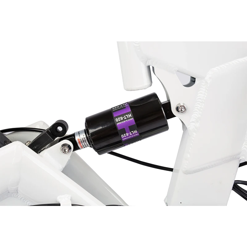 20inch Aluminum alloy frame folding electric bicycle 36V 250W electric foldable bike