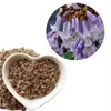 Pao tong Fast delivery competitive price paulownia shan tong crop tree seeds
