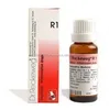 Reckeweg Homeopathy R1 Inflammation Drops - 22 ml