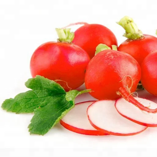 red radish exporter