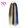 REINE Box Crotchet Braids Ombre Braiding Hair Braids synthetic Hair Extensions small Senegalese Twist Hair