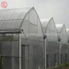 Lower price 6.0m multi span plastic film vegetable greenhouse for sale