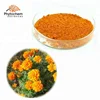 factory bulk price Marigold flower extract lutein and zeaxanthin powder lutein