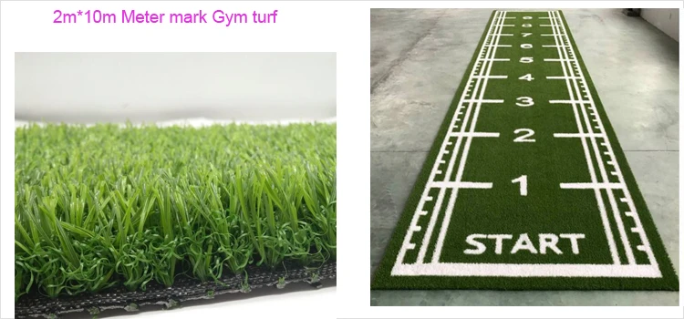 artificial grass for gym