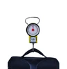 now type lower price hook luggage weighing Scales