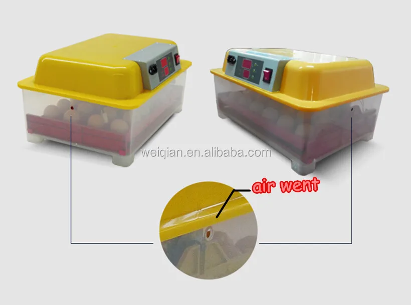 Capacity 24 Chicken Eggs Mini Automatic Incubator Wq-24 ...