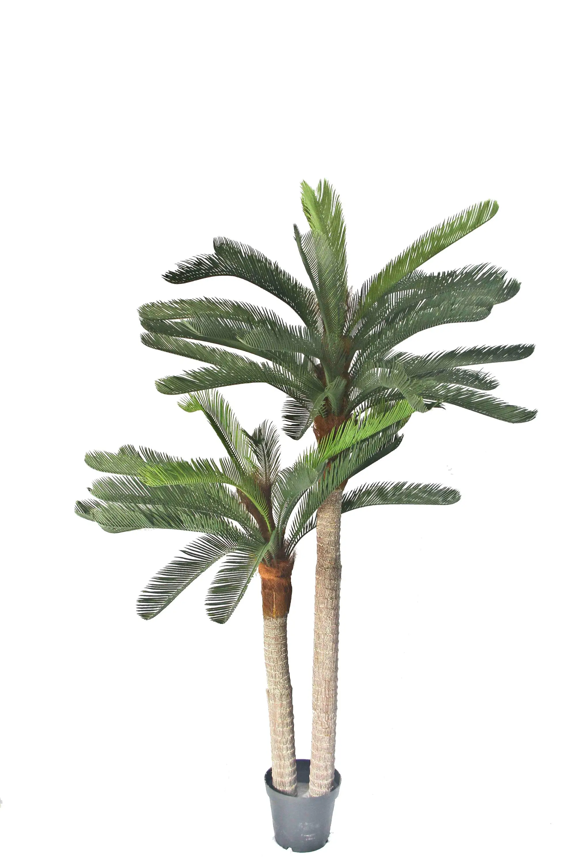 Artificial Sago Palms Plastic Cycas Bonsai Plants Buy Plastic Cycas