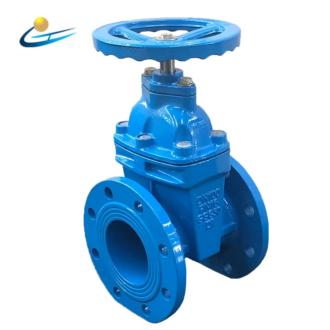 Dn100 Bs5163 Din3352 Resilient Seat Gate Valve With Prices 4 Inch Gate