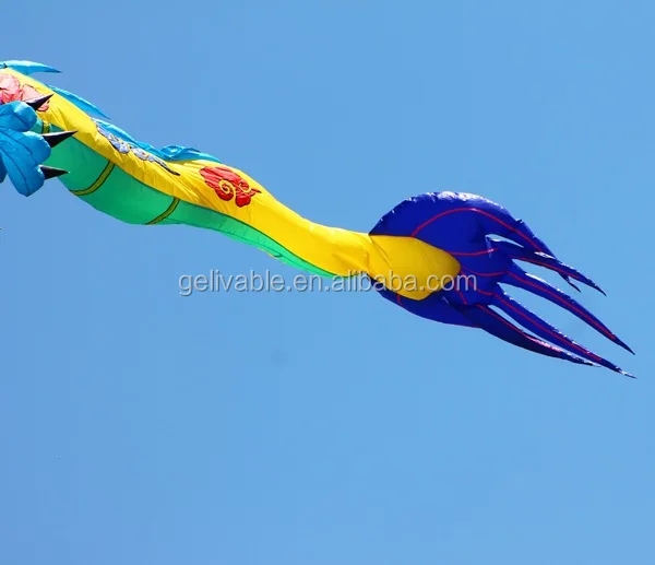 Chinese Dragon Kites From The Kite Factory Buy Chinese Dragon Kites