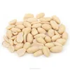 Need to buy the blanched peanuts with processing factory