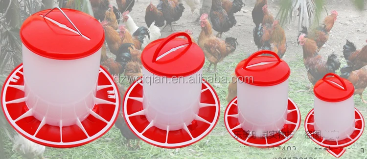 cheap chicken feeders and waterers