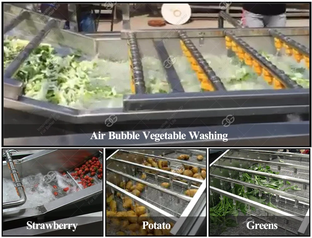 CE Approved Air Bubble Leafy Lettuce Vegetable Fruit Washing Machine