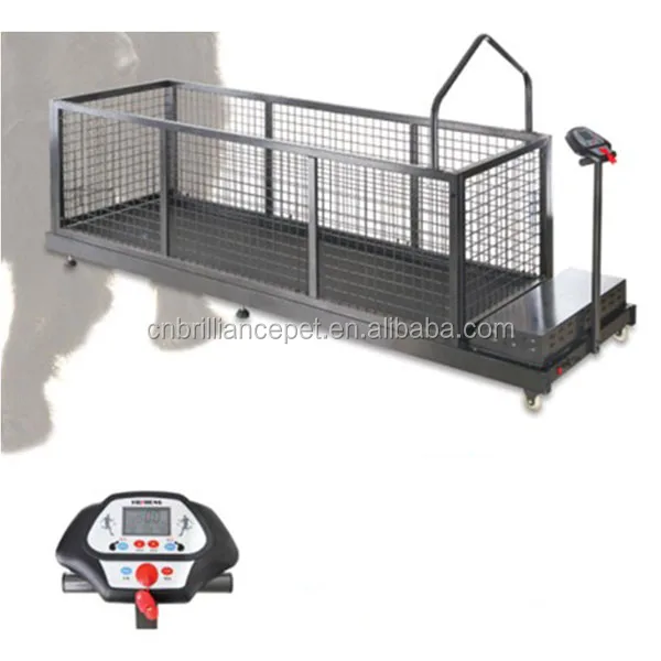 Dog Exercise Running Machine For Large Dogs Buy Dog Running Machine,Dog Running Machine,Dog