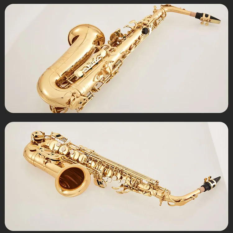 Accept Oem Dasheng Music Dsas711 Chinese Cheap Wind Instrument Alto