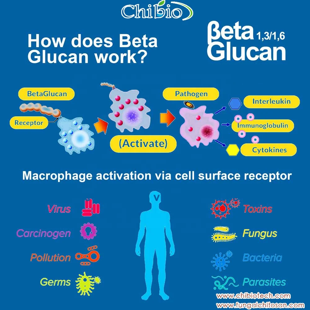 Beta glucans. Beta-Glucan. Beta Glucan производство. Beta Glucan drugs. Beta Glucan 1.3 / 1.6 what substance Xojkin limfoma.