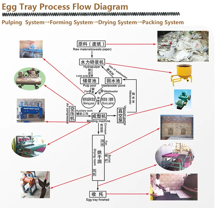 25 years paper pulp egg tray machinery/egg tray making production line ZT-5X8