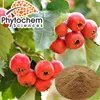 Organic Fresh Hawthorn Berry Fruit Extract/Hawthorn Leaf Extract 5%-20% Flavonoids