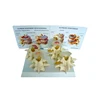 Model Of Four Type Vertebrae Nomorl Diseaser Composition