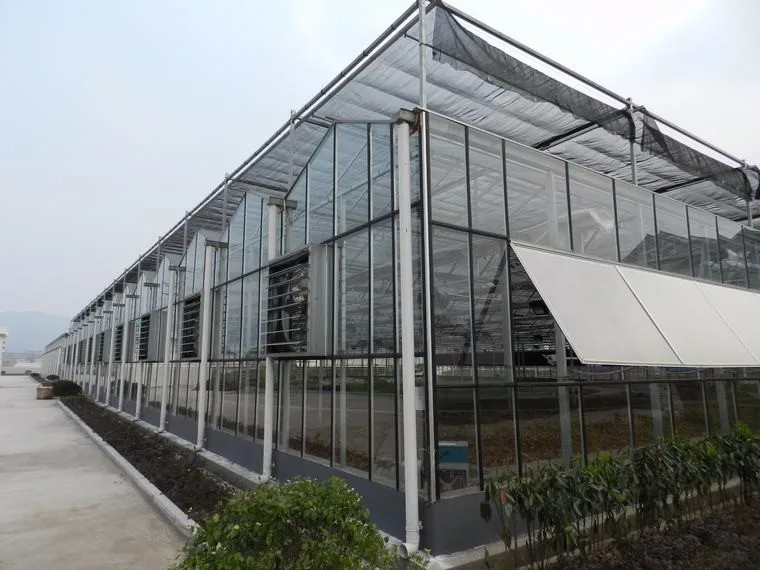 glass greenhouse (33)