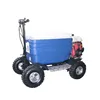 43cc EPA scooter cooler 50cc gas cooler scooter for adult (TKS-S43)
