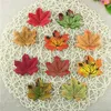 Wholesale Artificial Autumn Maple Leaves For Decoration