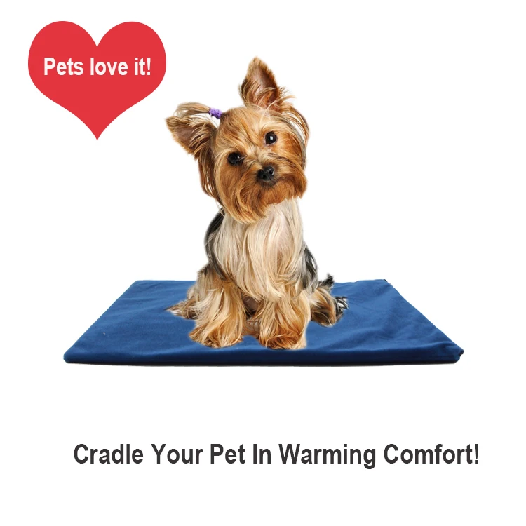 Squirrel! Pet Heating Bed Baby Pet Learning Pad Pet Electric Heat Pads