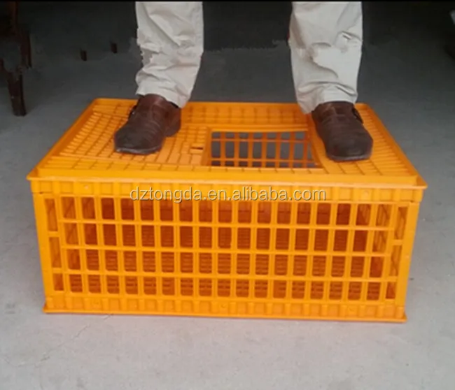 Solid Design Cage For Transport Of Rabbit Plastic Chicken Crate For Sale Buy Cage For Transport Of Rabbitplastic Chicken Crateplastic Rabbit Cage