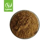 Natural Health Supplement Spine Date Extract