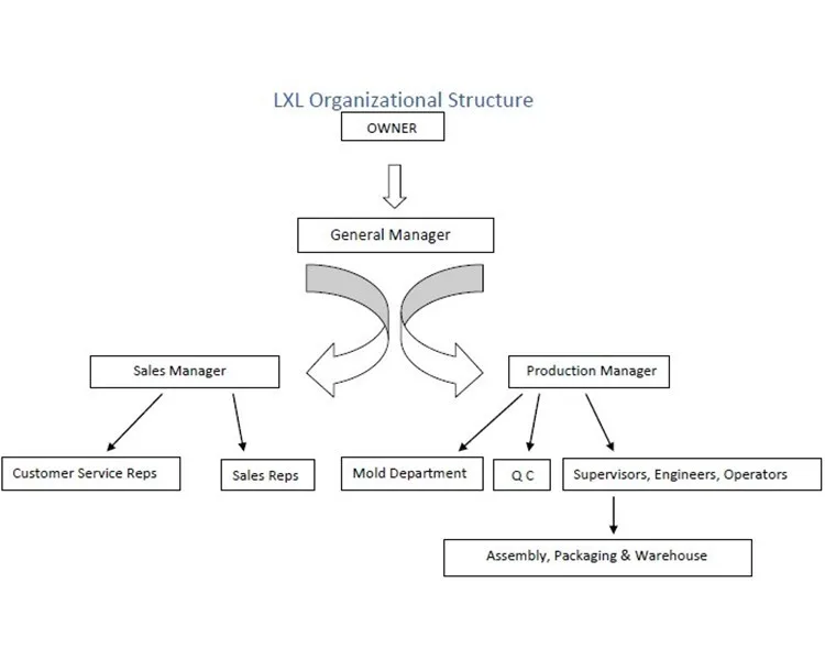 Organizational structure750.jpg