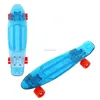 mini kids skateboard pc deck plastic 22inch fish skateboard