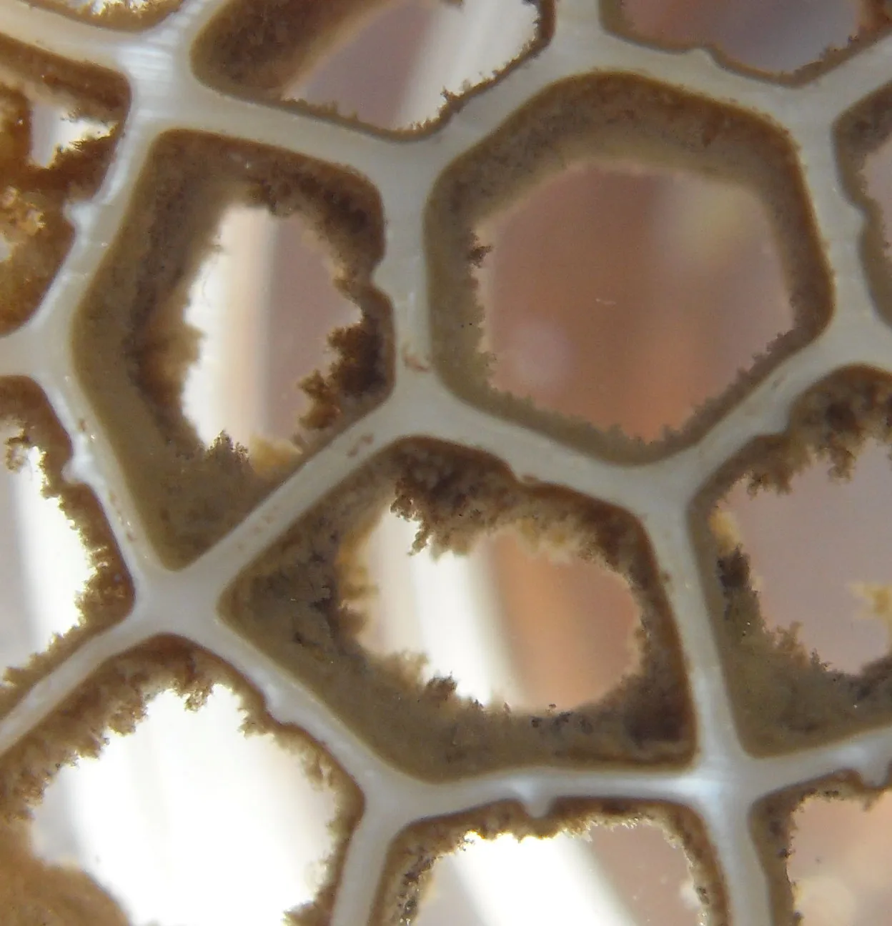 premium grade nano bubble diffuser for mbbr aeration