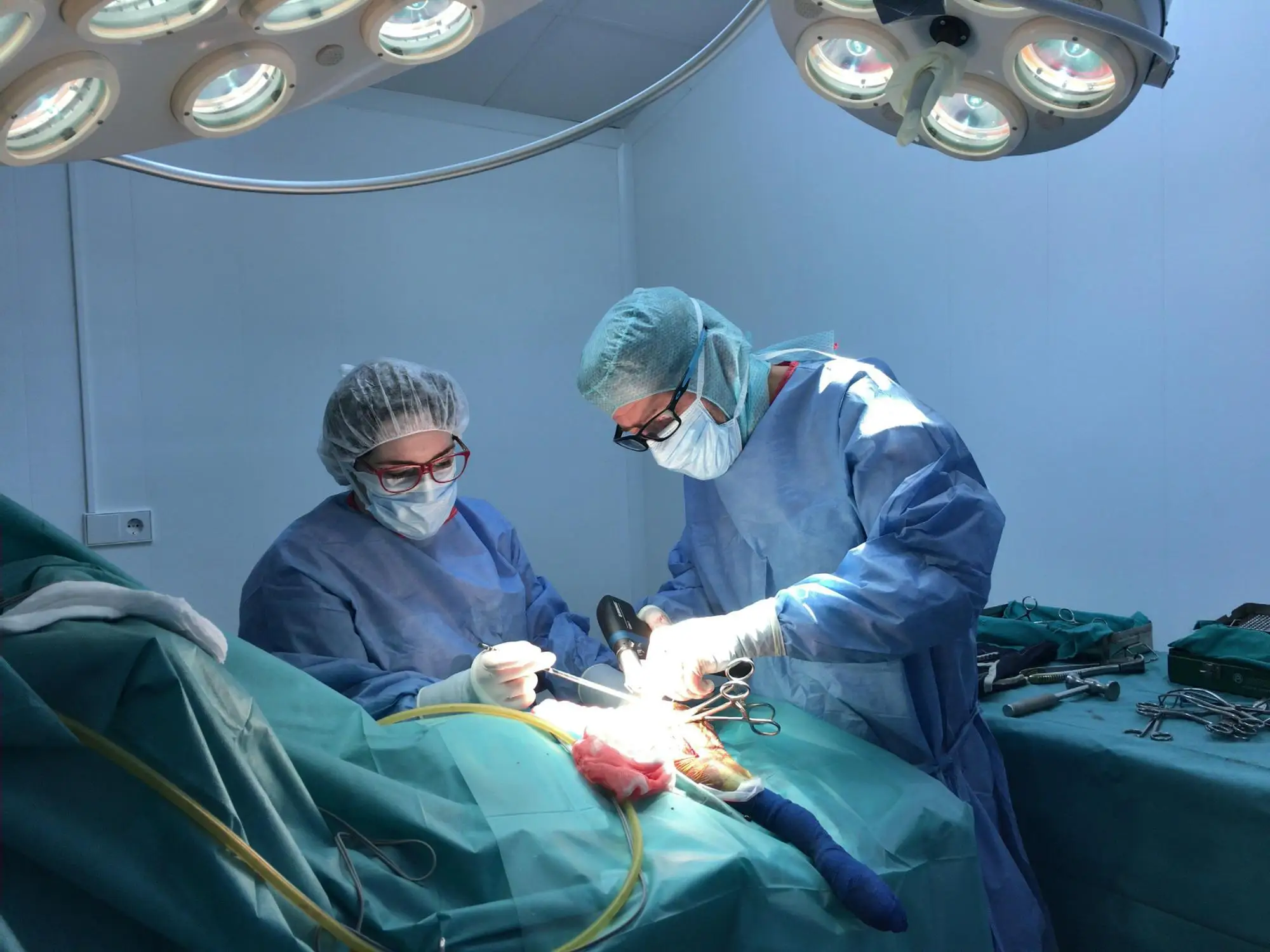 veterinary hospital.jpeg