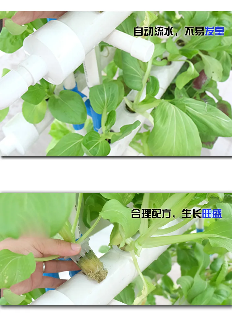 how you can build an integrated aquaponic system