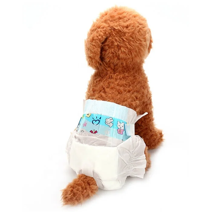 (10pcs/bag) Free Shipping Soft Non-woven Pet Physiological Pants ...