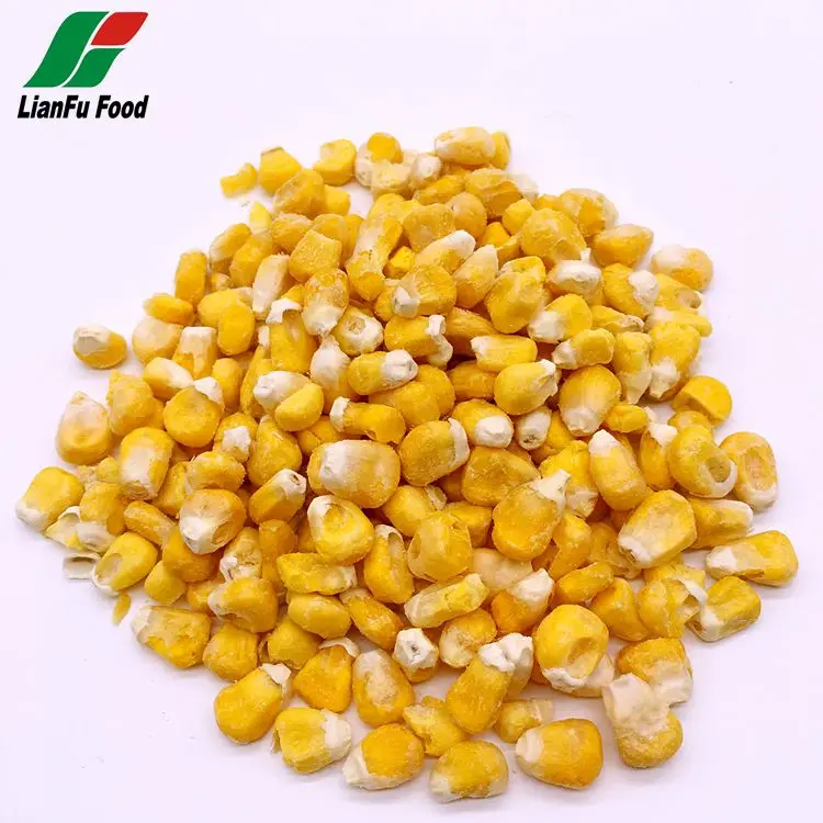 Biji Jagung Kering Alat Pembeku Jagung Kuning Fd Kering Jumlah Besar Alami Kemurnian Tinggi Buy Fd Jagung Beku Kering Jagung Fd Jagung Kernel Product On Alibaba Com