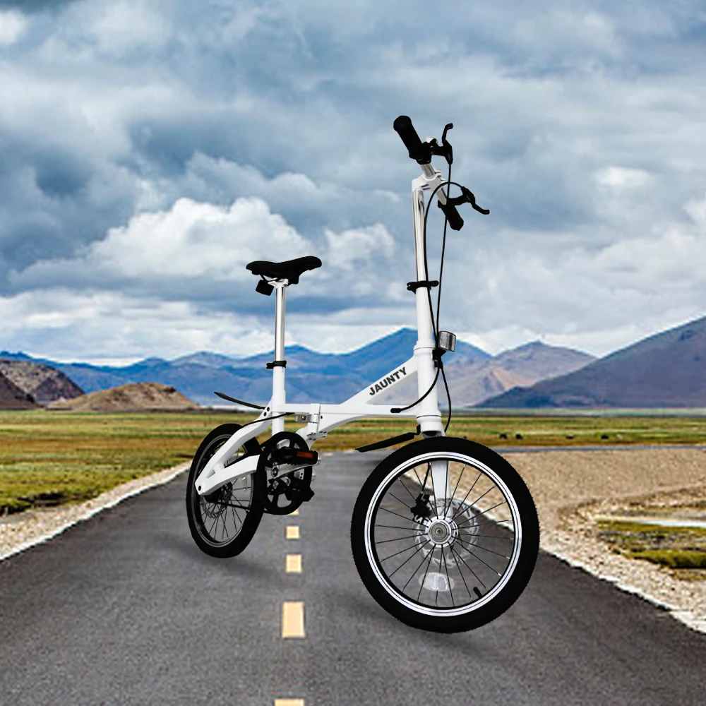 small bicycle for adults