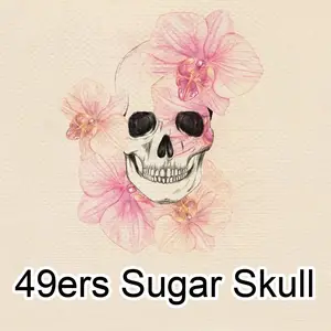 49ers sugar skull red/gold cushion cover pillow case 45*45cm/17.