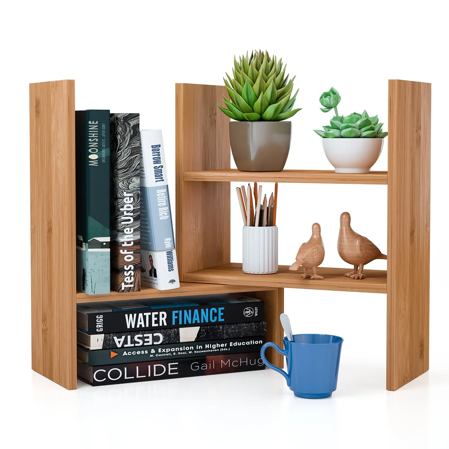 02 Bookshelf.jpg
