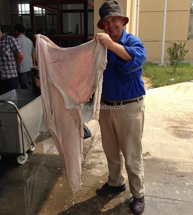 baseball cleaning machine