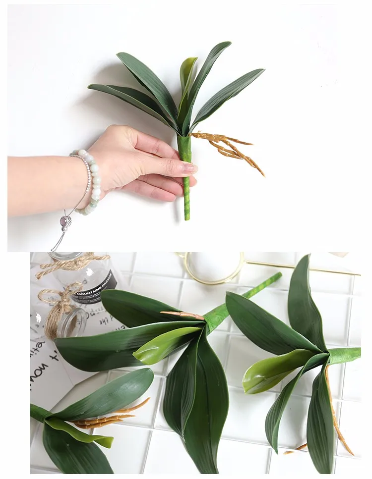 Artificial Orchid Leaves Phalaenopsis Orchids Leaves Real Touch Leaf