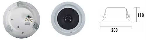 ceiling speaker-1.jpg