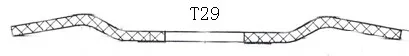 T29