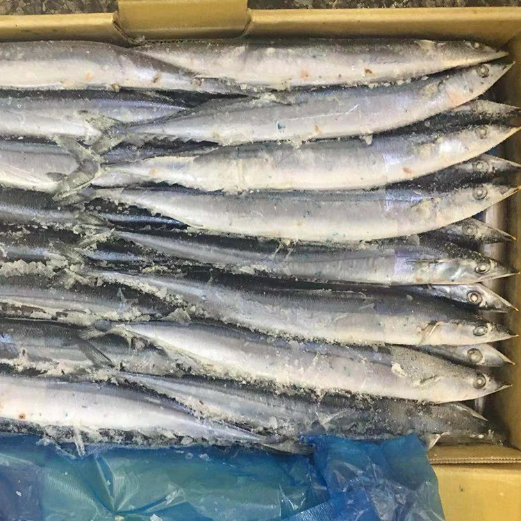 1bf21cad679fea0 (2).jpg