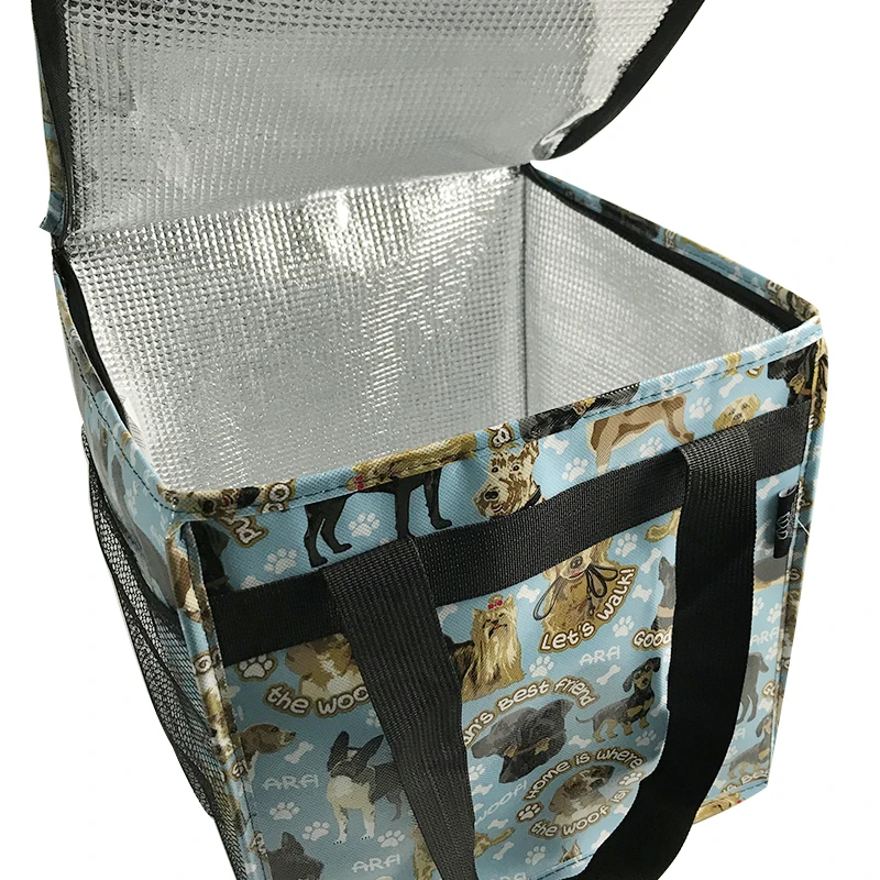 Cooler bag 22555.jpg