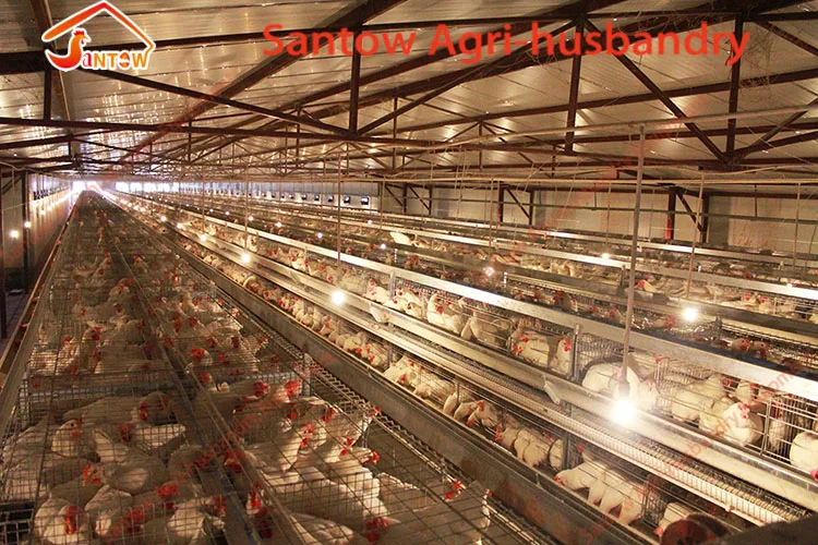 prefabricated chicken coop hen house for sale / metal wire mesh laying hen houses