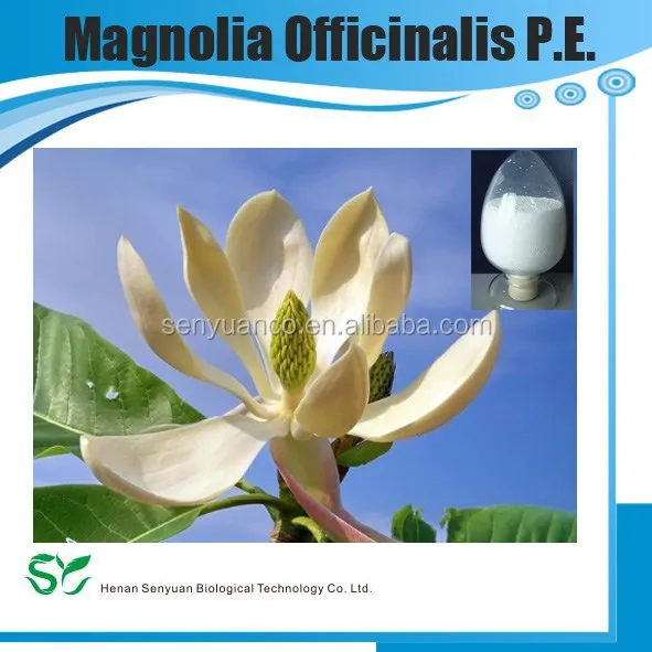 
Natural Magnolia bark extract/cortex magnoliae officinalis P.E/Honokiol 