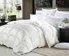 High quality hot selling 100% silk floss satin down quilt/comforter/duvet