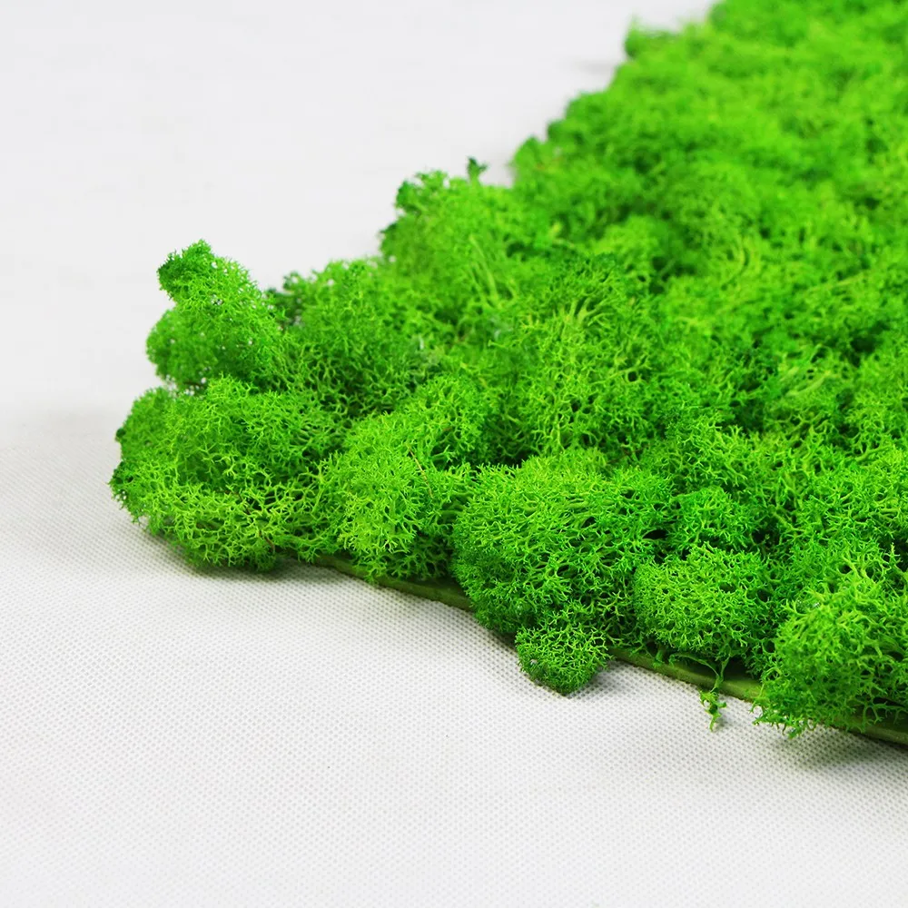 High Simulation Wholesale Preserved Artificial Moss Mat For Interior