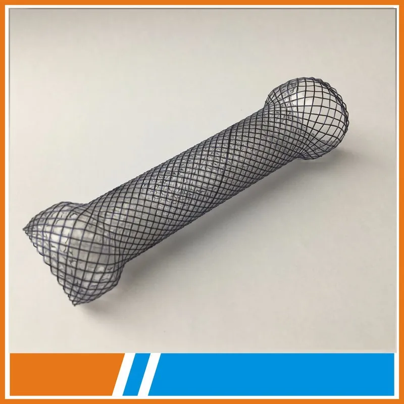 esophageal stent.jpg