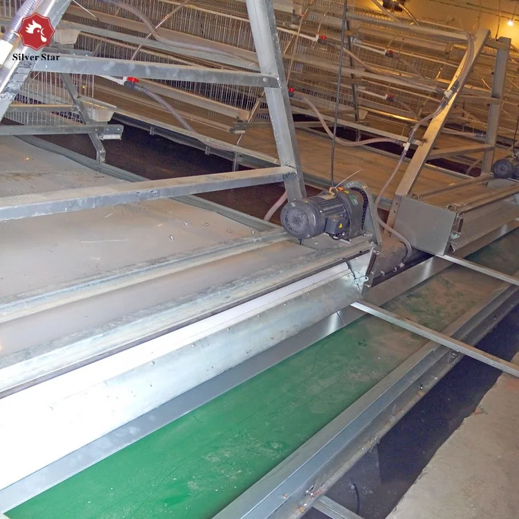 laying hens cage best sales.jpg